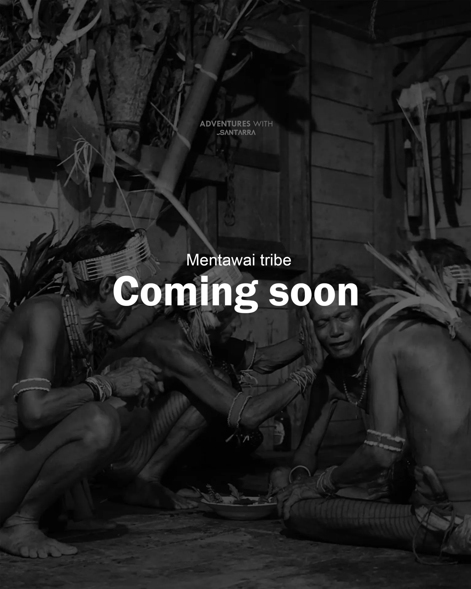 Mentawai Tribe